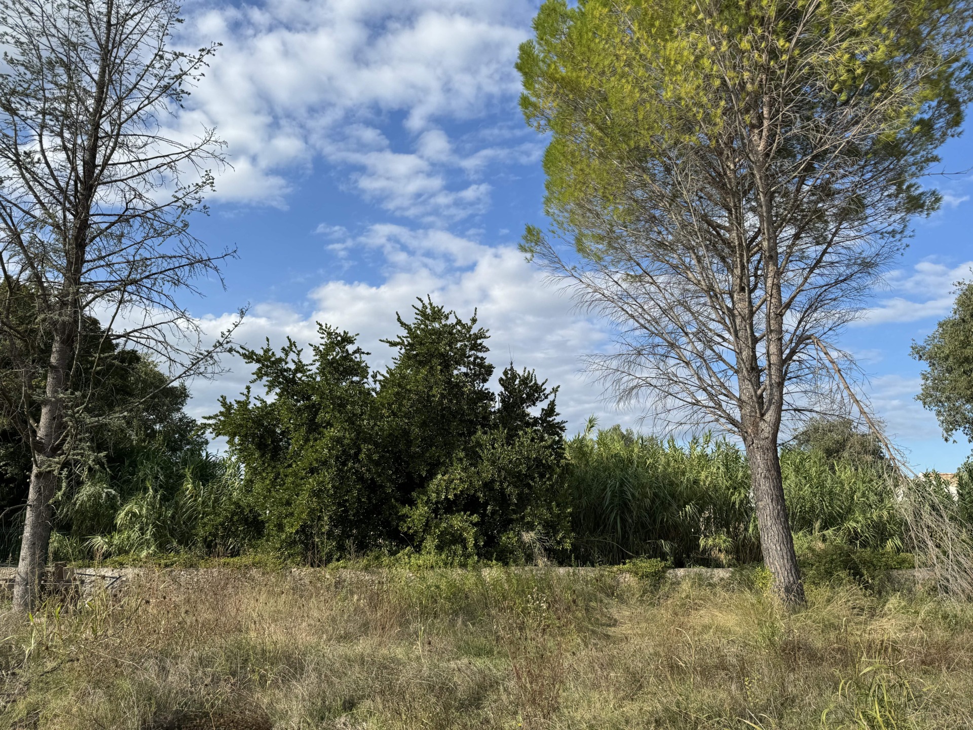 Projet de deux villas à Saint-Geniès-de-Malgoirès – Opportunité unique, cadre paisible et idéal pour famille