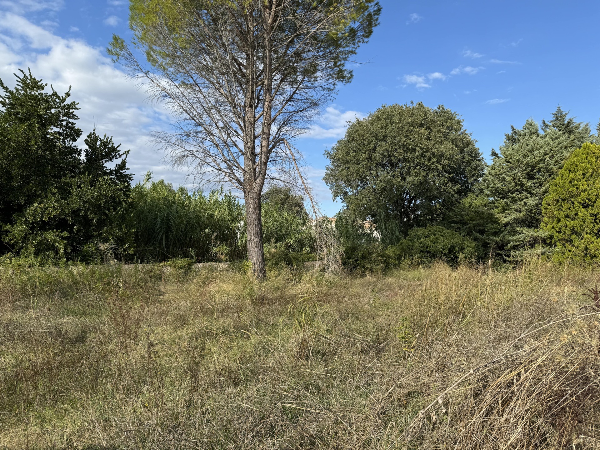 Terrain constructible de 389m² à la campagne, à proximité des commodités – Saint-Geniès-de-Malgoirès