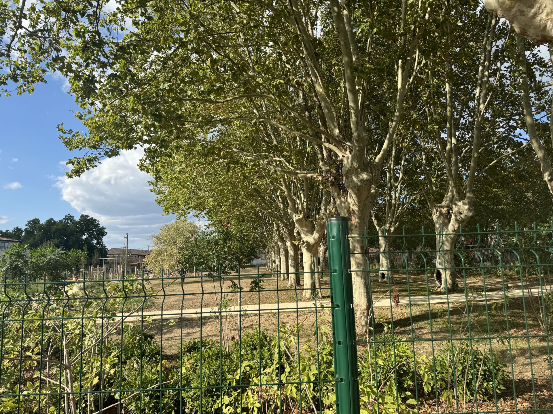 Terrain prêt à construire à Marguerittes – Emplacement privilégié, cadre verdoyant !